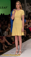 Amberleaf Design 02
