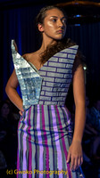 Austin School of Fashion Designs (ASFD)